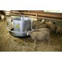 Voederautomaat voor schapen en lammeren