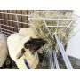 Patura hooiruif 373510 voor kalveren, schapen en geiten