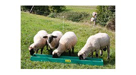 Voederbakken, hooiruiven en meer voor schapen